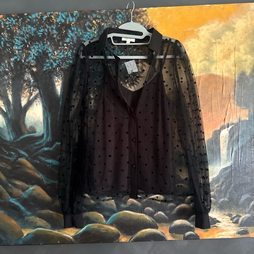 Flying Tomato Black Sheer Polka Dot Blouse